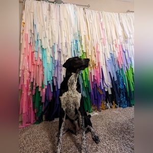 Vibrant Fringe Photo Backdrop